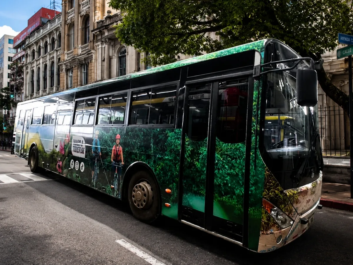 Buses